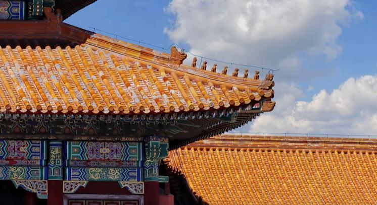 ����5��4��������