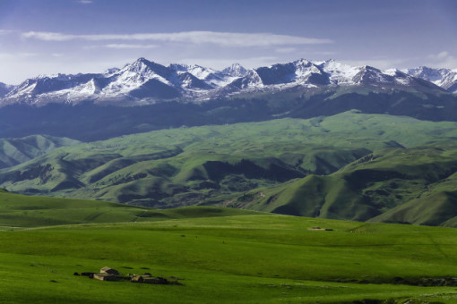 ���绷��6�ն����Σ�˫��ԭ������+���⹫·��ѩ+޹�²ݻ���+����ľ������+��ɫ��ʳ�Ƽ���