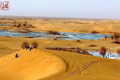 �½���³ľ��+�Ͻ�+��ʲ����+�����յ���8��7��������