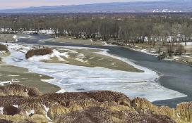 �½�����̩����ľ��8��7��������