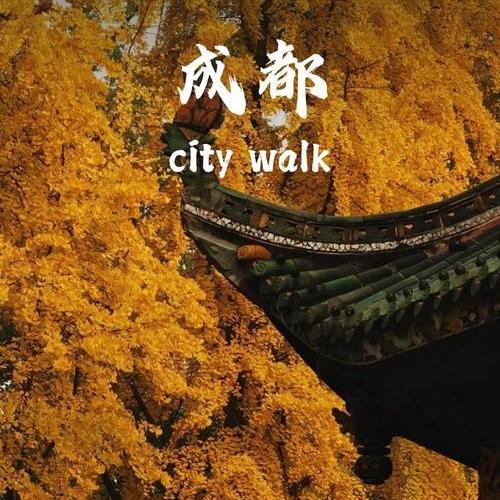 �ɶ���ǩ-���ô�����ǩ֤(ȫ�������ɶ���ָ���� ��̽�׷���)