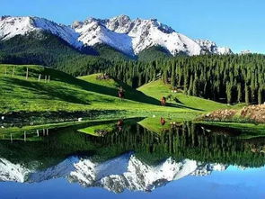 �½�����+��³ľ��+��ɽ���+����ɽ����+��������6��5��������