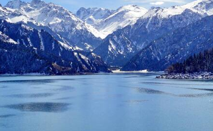 �½�����+��³ľ��+����˹+����ľ��8��7��������