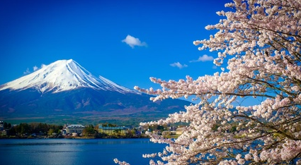 ������ǩ-�ձ���������ǩ֤(�ձ����� 90����Ч 15��ͣ��)